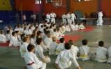 14 et 15 Novembre il y a du Judo à Embrun