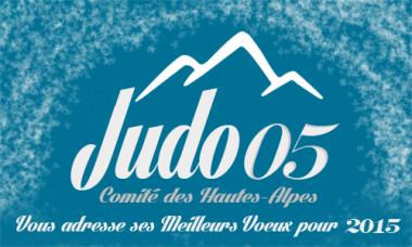 Bonne Année 2015